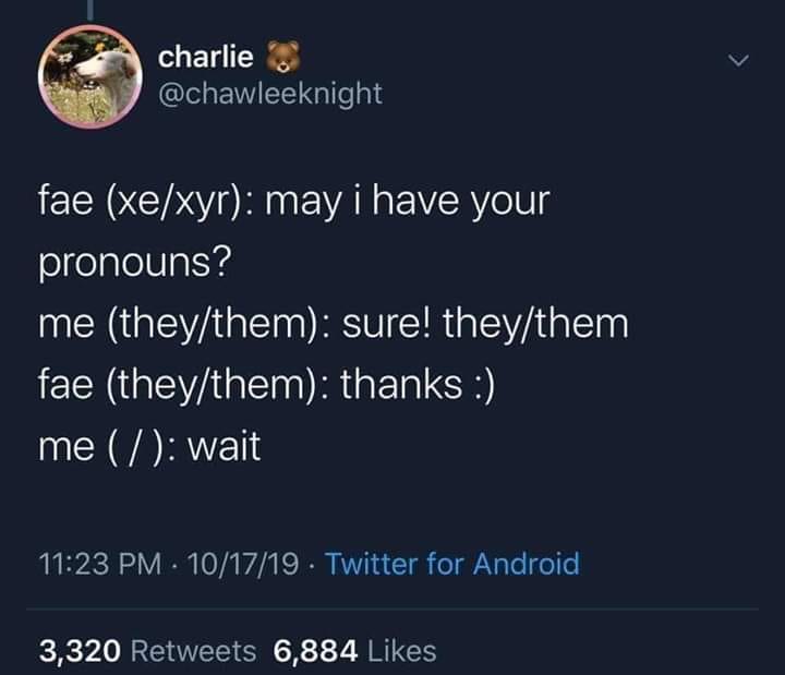 This meme is a screenshot of a Twitter conversation where someone asks for pronouns, but the response is a humorous and sarcastic "they/them" followed by "I don't care". The text is written in a playful, informal tone, with a dash of irony and a touch of humor.